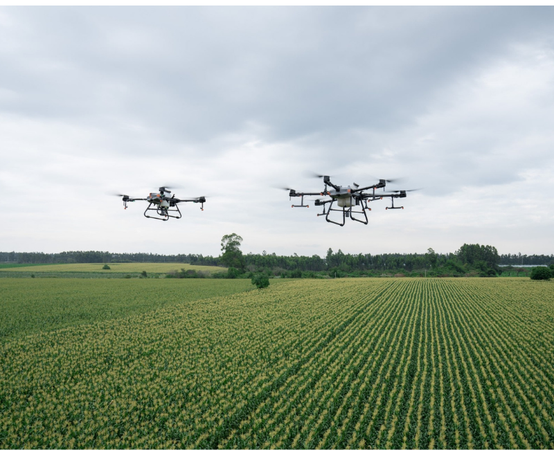 Drone ile ilaçlama ve Gübreleme Hizmeti 50 dekar üzeri alanlar