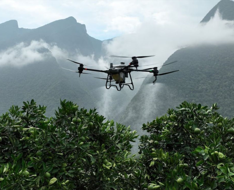 Drone ile ilaçlama Hizmeti 20 dekar üzeri alanlar